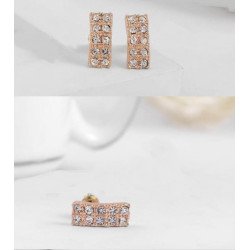 Delicate Classic series Stud Earrings