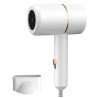 Unisex Portable Mini Anion Foldable Travel Hairdryer