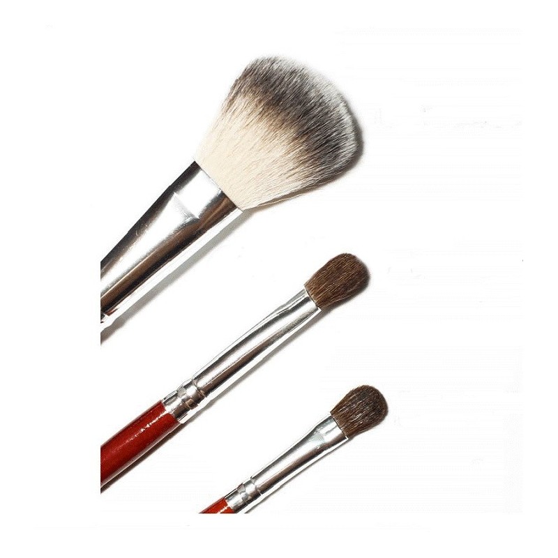 Professional Hair Make-up Brush Kit