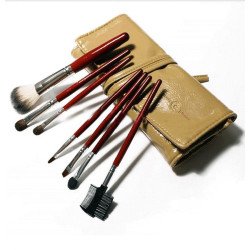 Professional Hair Make-up Brush Kit