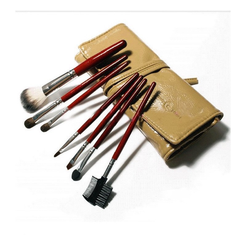 Professional Hair Make-up Brush Kit