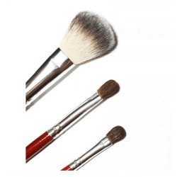 Professional Hair Make-up Brush Kit