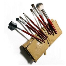 Professional Hair Make-up Brush Kit