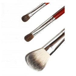 Professional Hair Make-up Brush Kit