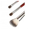 Professional Hair Make-up Brush Kit